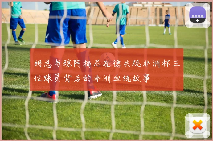 姆总与琼阿梅尼孔德共观非洲杯三位球员背后的非洲血统故事